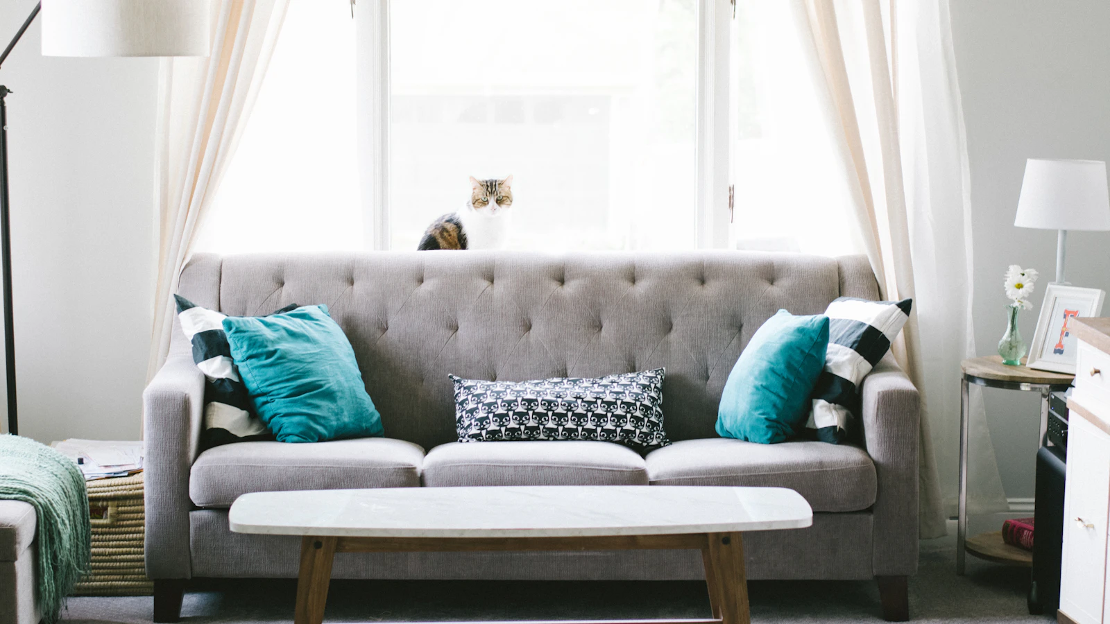 A compact sofa arranged in a bright small living space